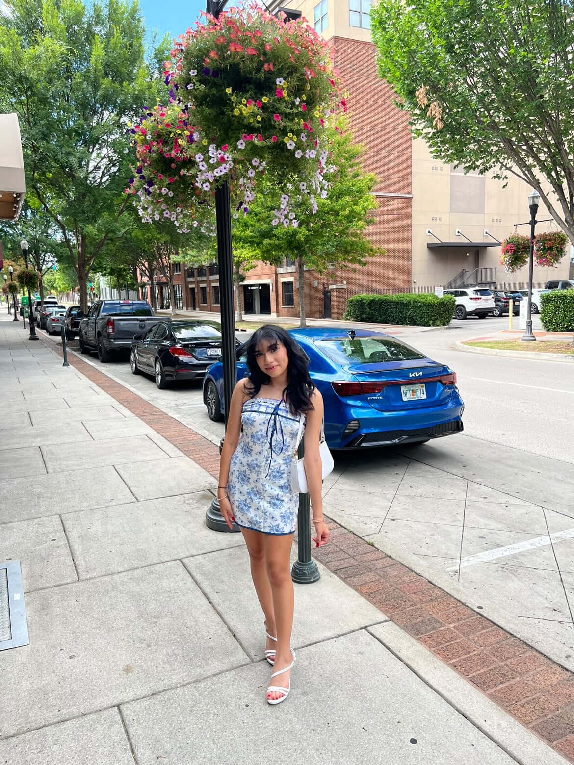 Adeline Butterfly Mini Dress PREORDER